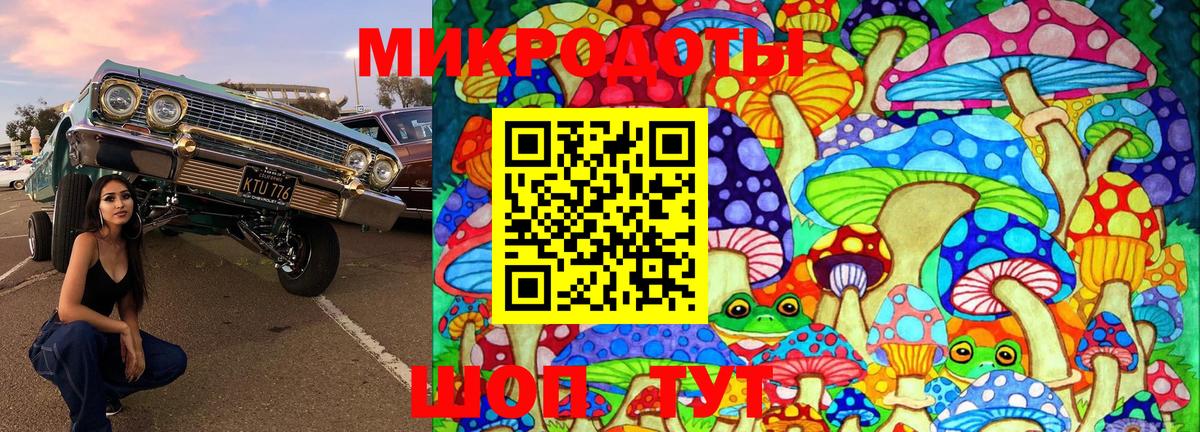 Галлюциногенные грибы Psilocybine cubensis Щёлково