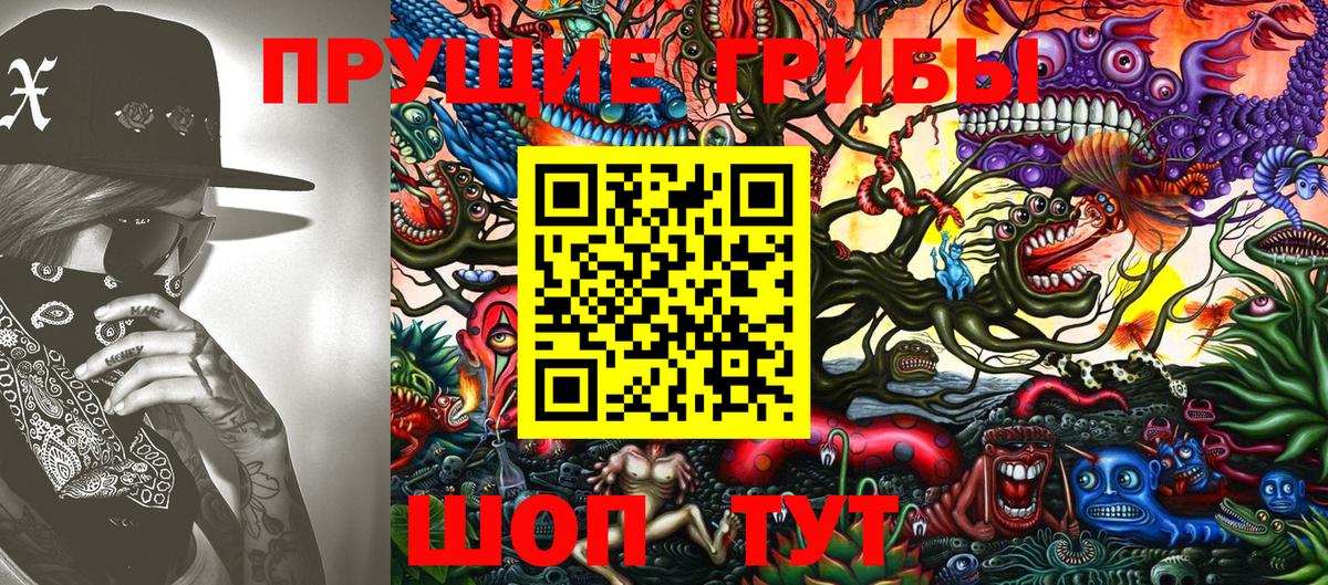 Псилоцибиновые грибы Psilocybine cubensis  Вход с VPN  купить наркотики цена  Щёлково 