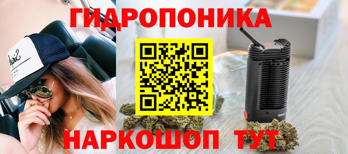 МАРИХУАНА планчик Щёлково